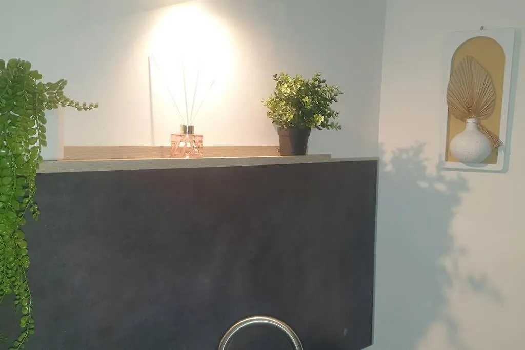 Cosy Clim Centre Ville Montelimar Apartment